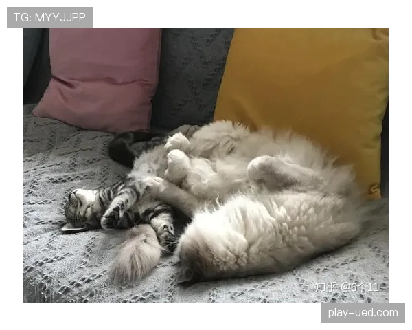 惠若琪退役后这生活也太松弛了吧，每天睡到自然醒还晒猫？