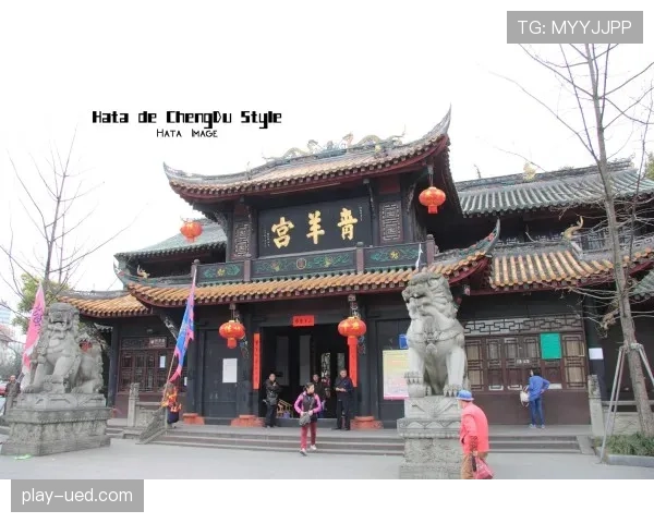 张楠退役后住进北京四合院，每天打太极遛狗，这日子比娱乐圈老干部还闲